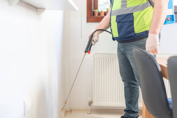 Best Wasp Removal Services  in Clayton, AL