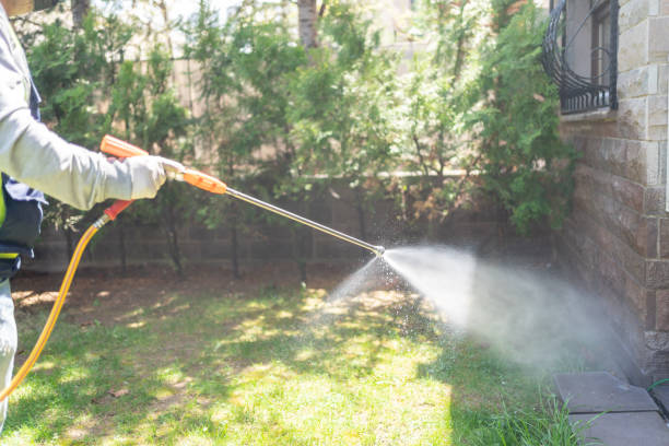 Best Affordable Pest Control Services  in Clayton, AL
