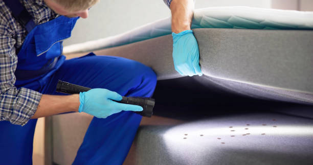 Reliable Clayton, AL Pest Control Solutions