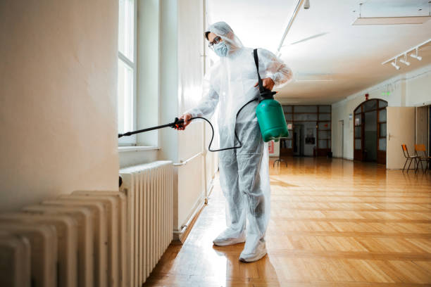 Best Flea Control Services  in Clayton, AL